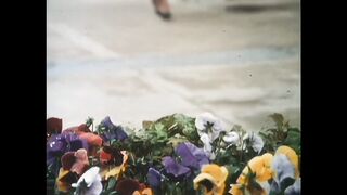 1981 - The Little French Maid (1080) FIXED